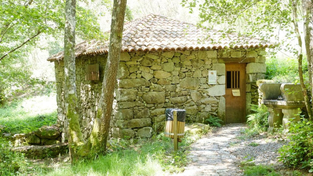 منزل الضيف O Pineiro  في Casa Solveira المظهر الخارجي الصورة